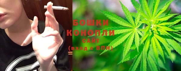 каннабис Аркадак