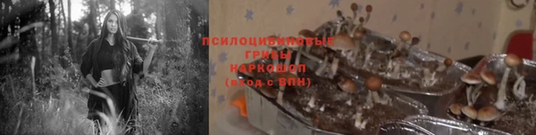 тгк Арсеньев