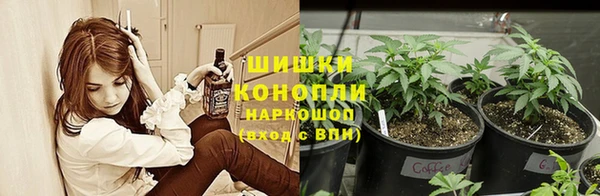 каннабис Балахна