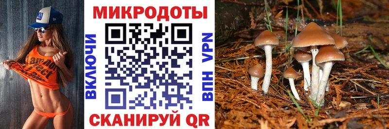 магазин продажи наркотиков  Темрюк  Галлюциногенные грибы GOLDEN TEACHER 
